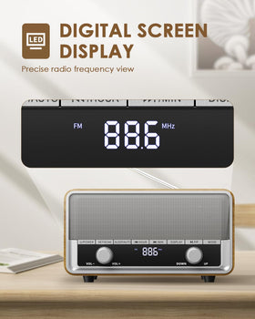 Audiocrazy paired with smartphone via Bluetooth for wireless streaming convenience
