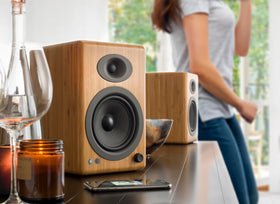 Audioengine A5+ back panel ports illustrating versatile connectivity options