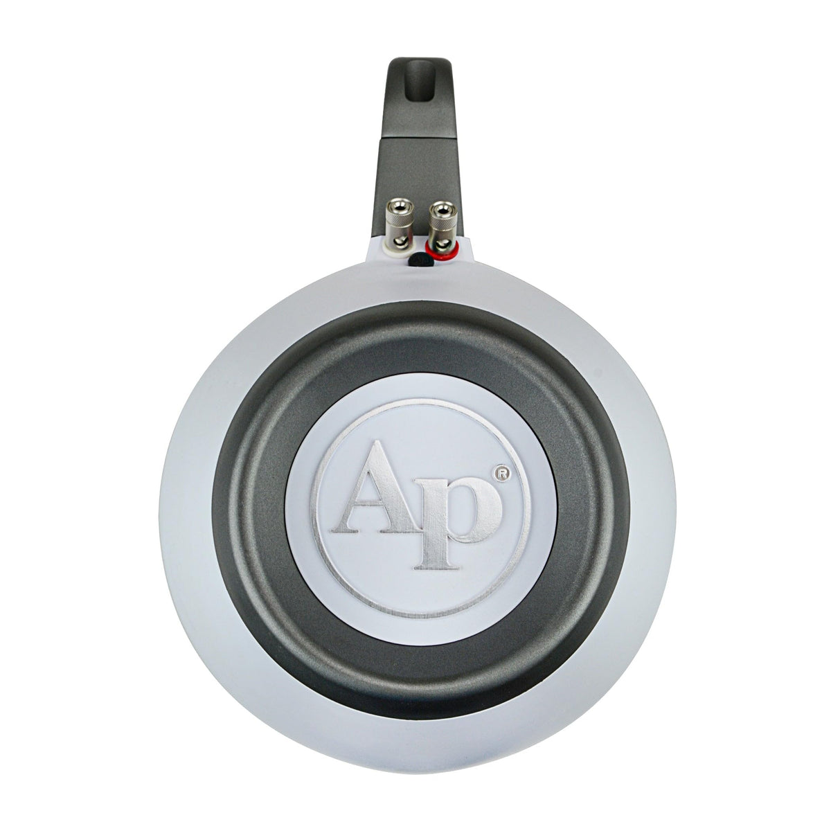 Audiopipe APMP-1001WETW weatherproof enclosure with aluminum stand for stability