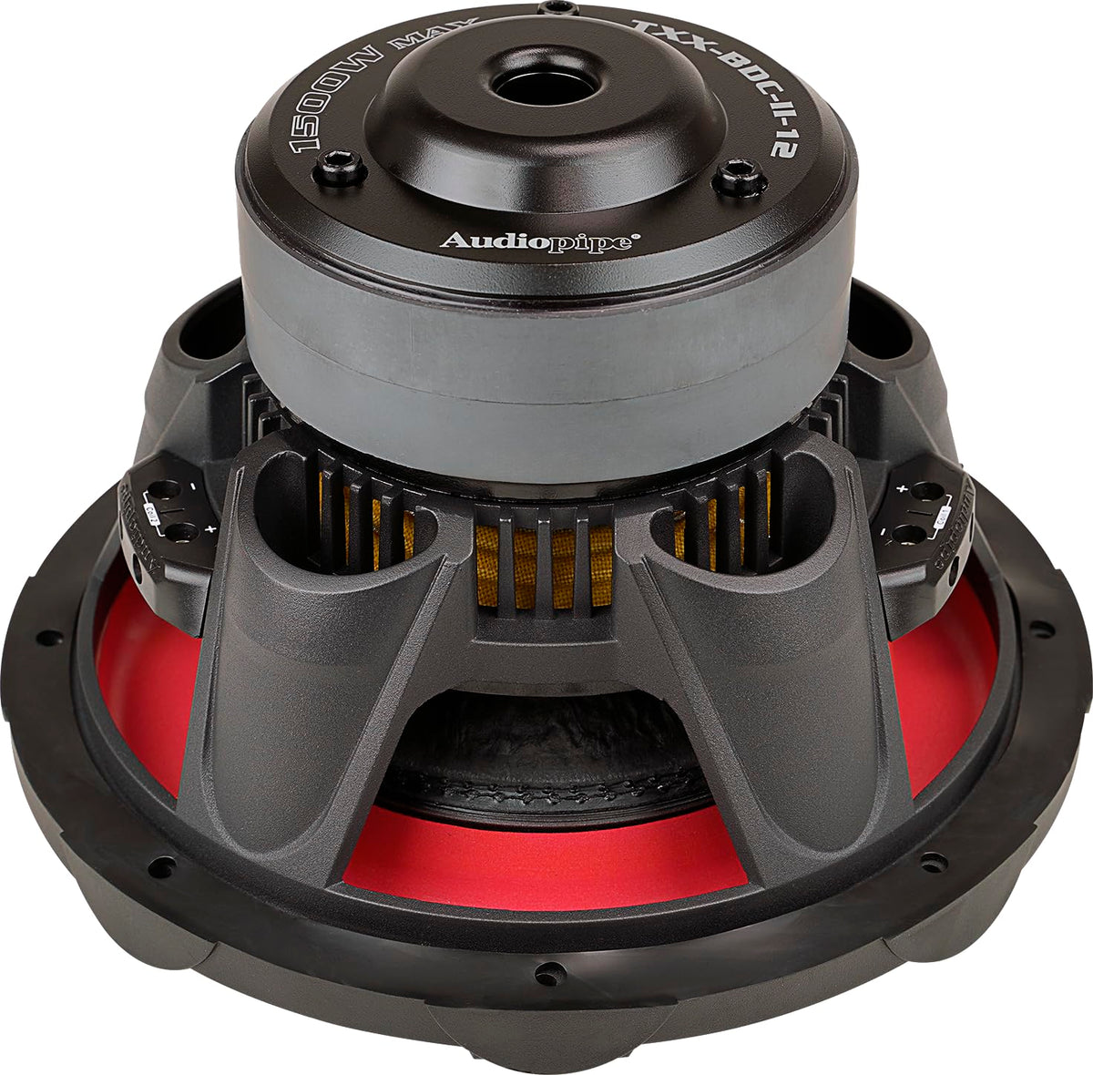 Audiopipe TXX-BDC-II-12 ports and terminals demonstrate flexible wiring options.