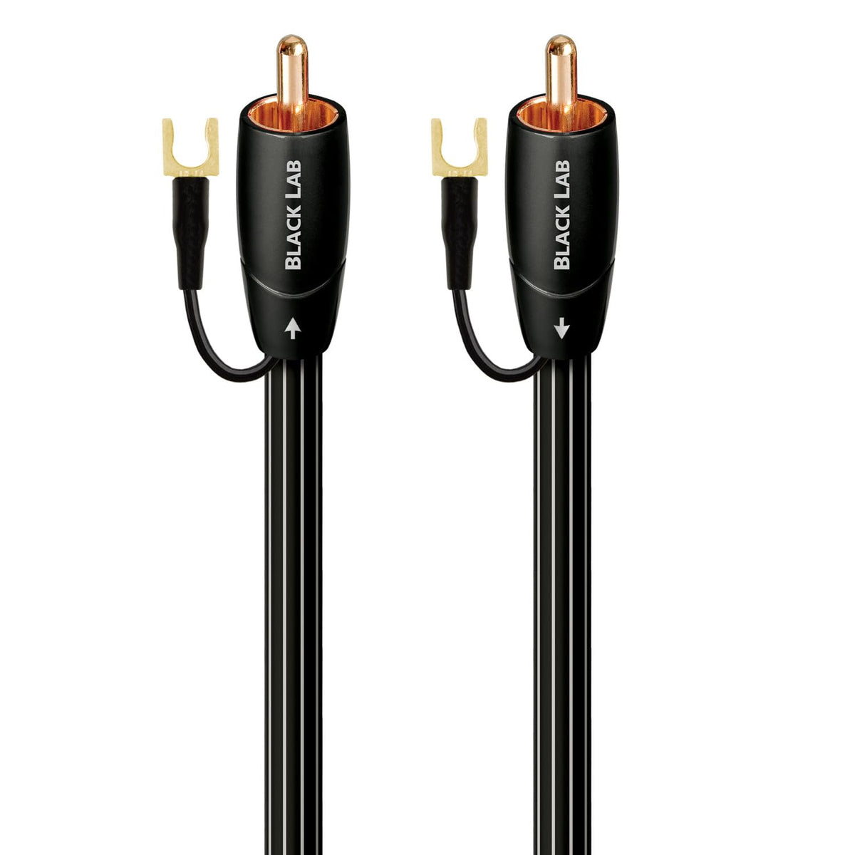 AudioQuest 8m Black Lab RCA cable close-up shows sturdy construction for reliable hi-fi connections.