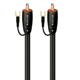 AudioQuest 8m Black Lab RCA cable close-up shows sturdy construction for reliable hi-fi connections.