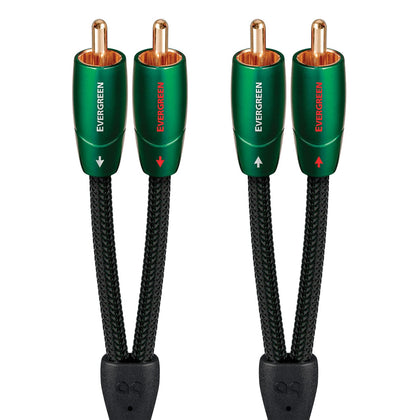 AudioQuest Evergreen RCA to RCA 1m close-up of gold-plated plugs for clean signal transfer.