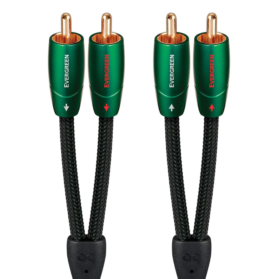 AudioQuest Evergreen RCA to RCA 1m close-up of gold-plated plugs for clean signal transfer.