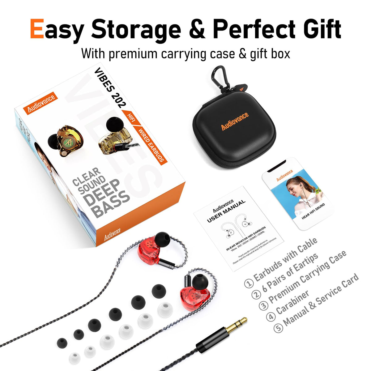 Audiovance Vibes 202 carrying case with accessories for organized transport