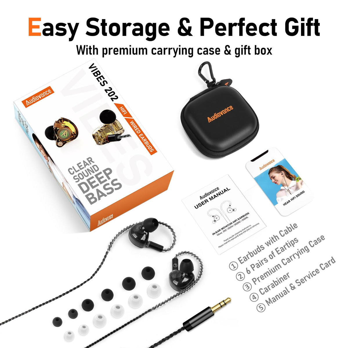Audiovance Vibes 202 neatly stored inside the included carrying case with carabiner for travel protection