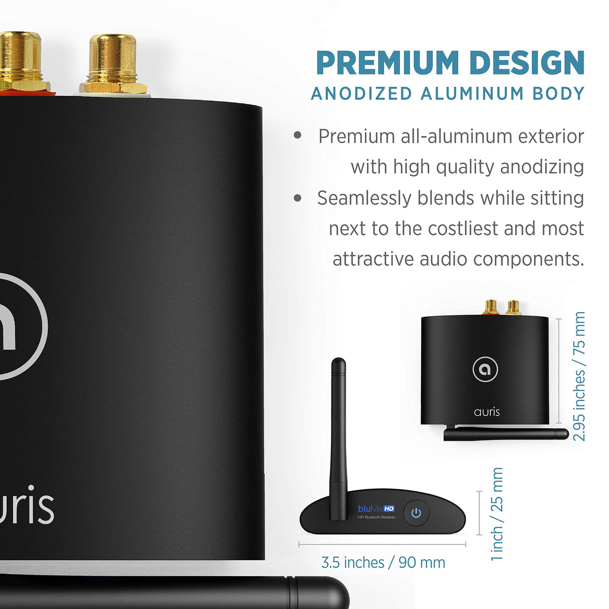 Auris Blume HD 384kHz 32-bit upsampling emphasis for audiophile-grade sound.