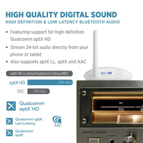 Auris Blume HD back panel with RCA and optical outputs