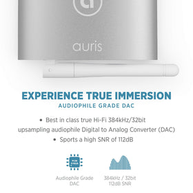 Auris Blume HD living room setup with stereo system