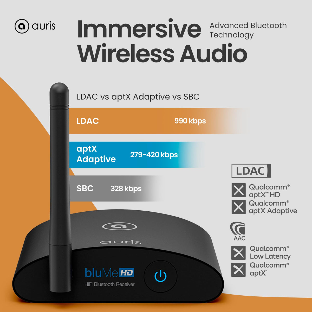 Auris Blume HD back panel with outputs enables flexible audio connections.