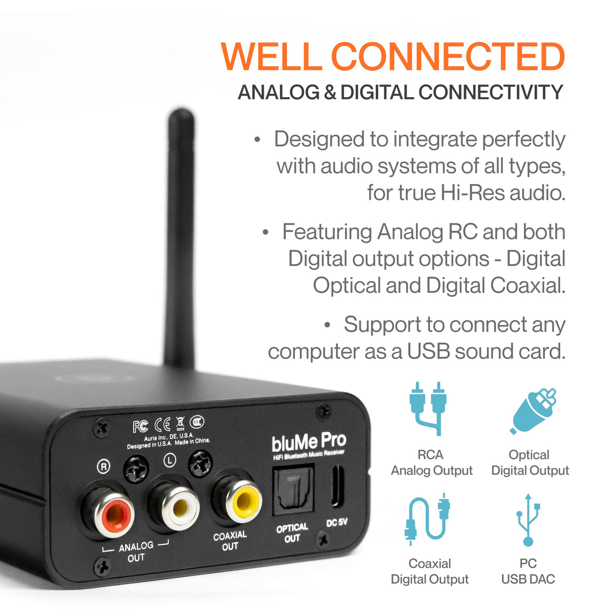 Auris Blume Pro analog RCA outputs connect to traditional amplifiers.
