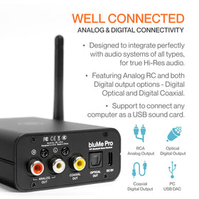 Auris Blume Pro analog RCA outputs connect to traditional amplifiers.