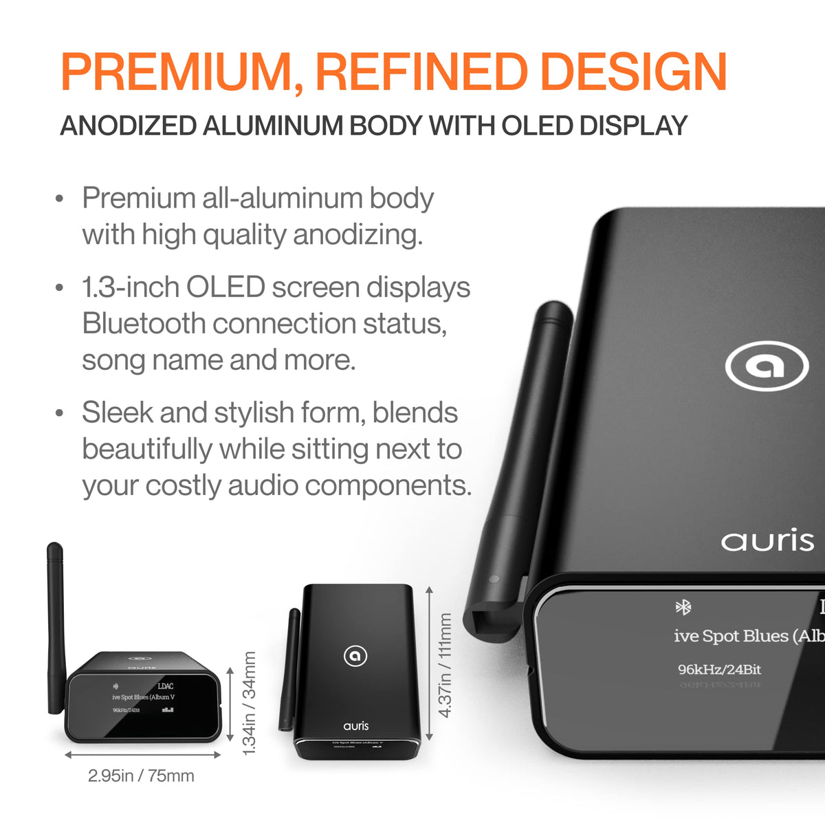 Auris Blume Pro digital coaxial output for versatile home connections.