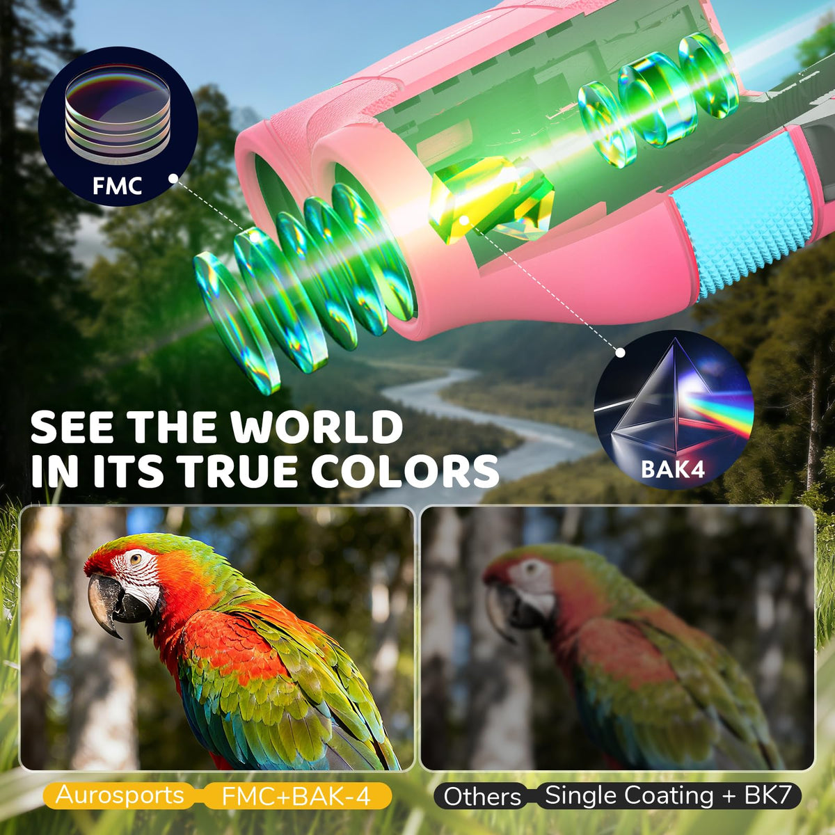 Aurosports bird guide opened to pages for hands-on nature learning