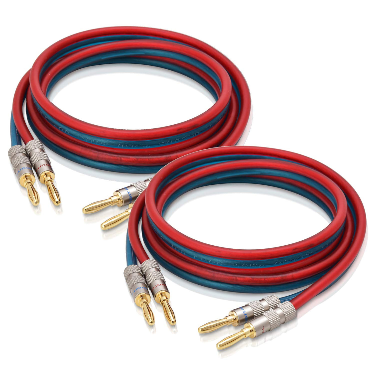 AutCreation speaker cable with red and blue ends for clear polarity and easy setup.