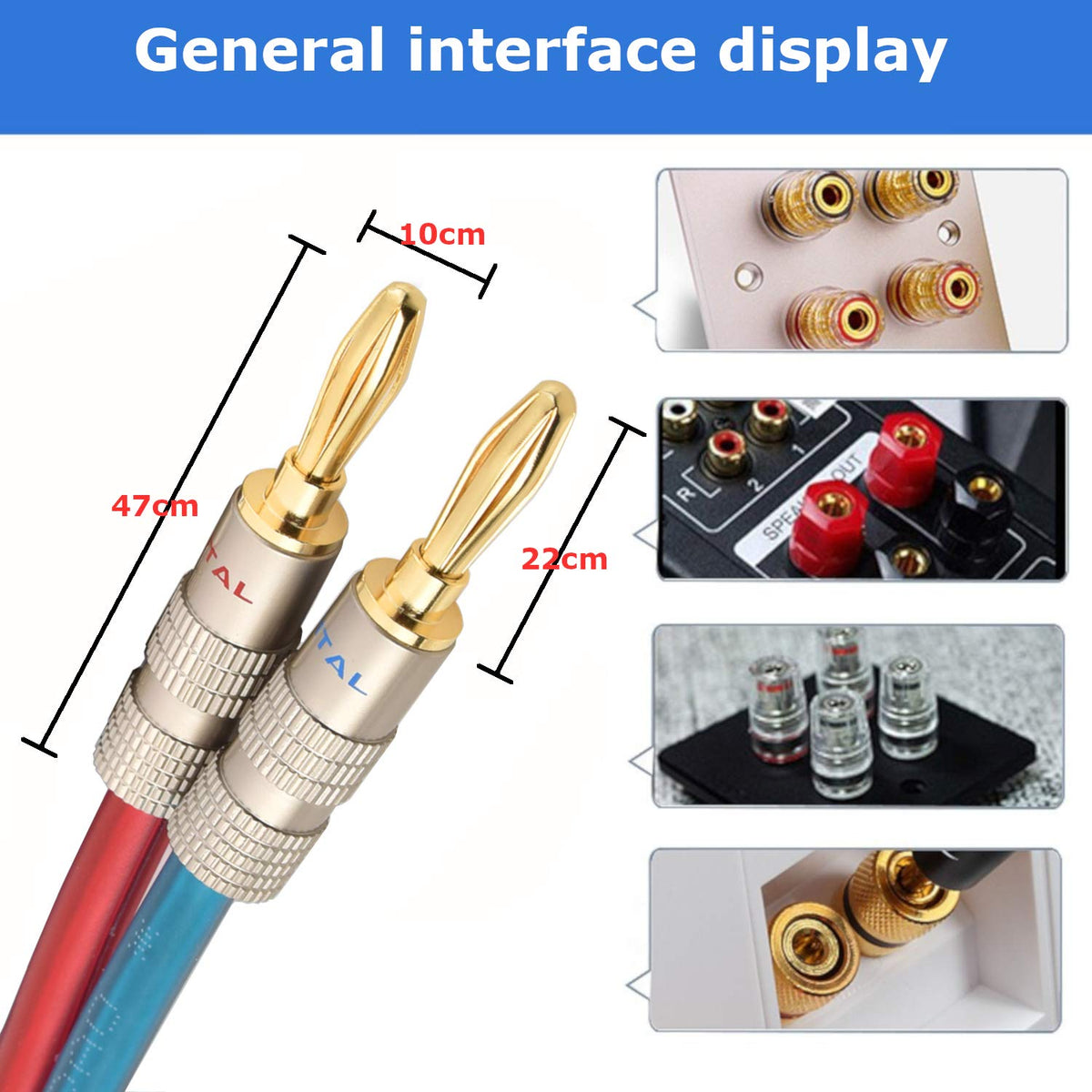 AutCreation ideal for stereo and home theater use in everyday rooms.