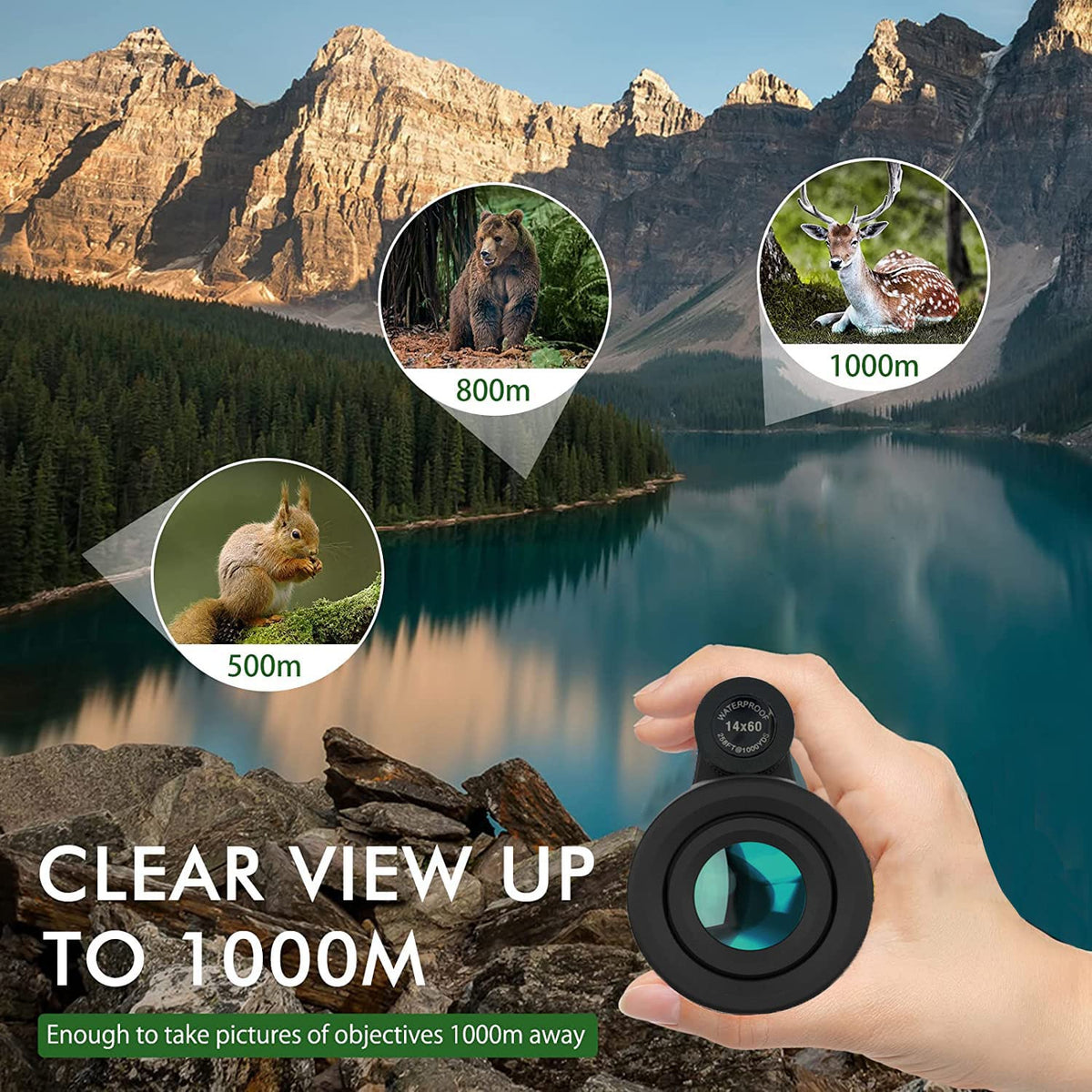 AYRAVIIO 12x60 monocular compact for travel and camping use