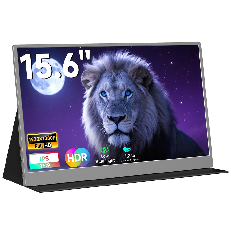 AYY front view of 15.6-inch monitor showing slim display and crisp image benefit portability