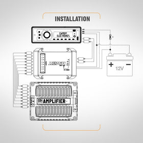 Eight-channel output layout supports balanced multi-driver systems.