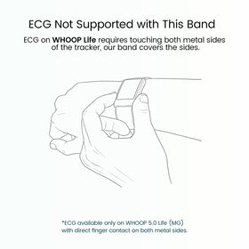 BandSmith disclaimer: third-party accessory not affiliated with WHOOP, Inc.