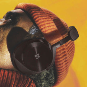 Beoplay H95 hard case protects headphones during transit.