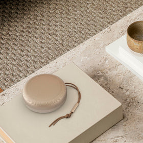 Bang & Olufsen Beosound A1 2nd Gen reliable Bluetooth connection