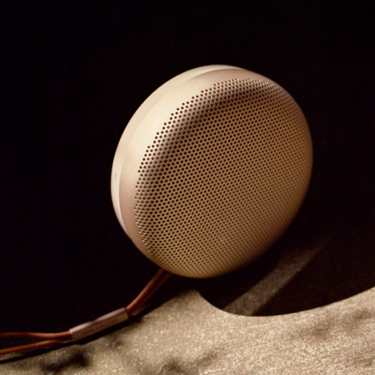 Bang & Olufsen Beosound A1 2nd Gen built-in microphone for calls
