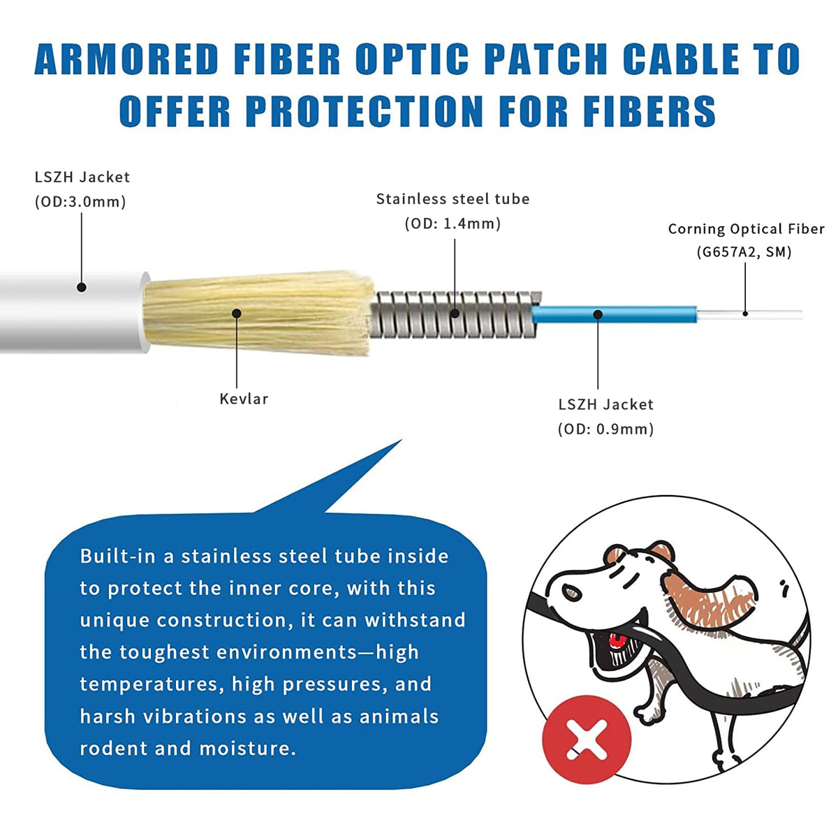 Stainless steel tube protection inside Bangun fiber jumper