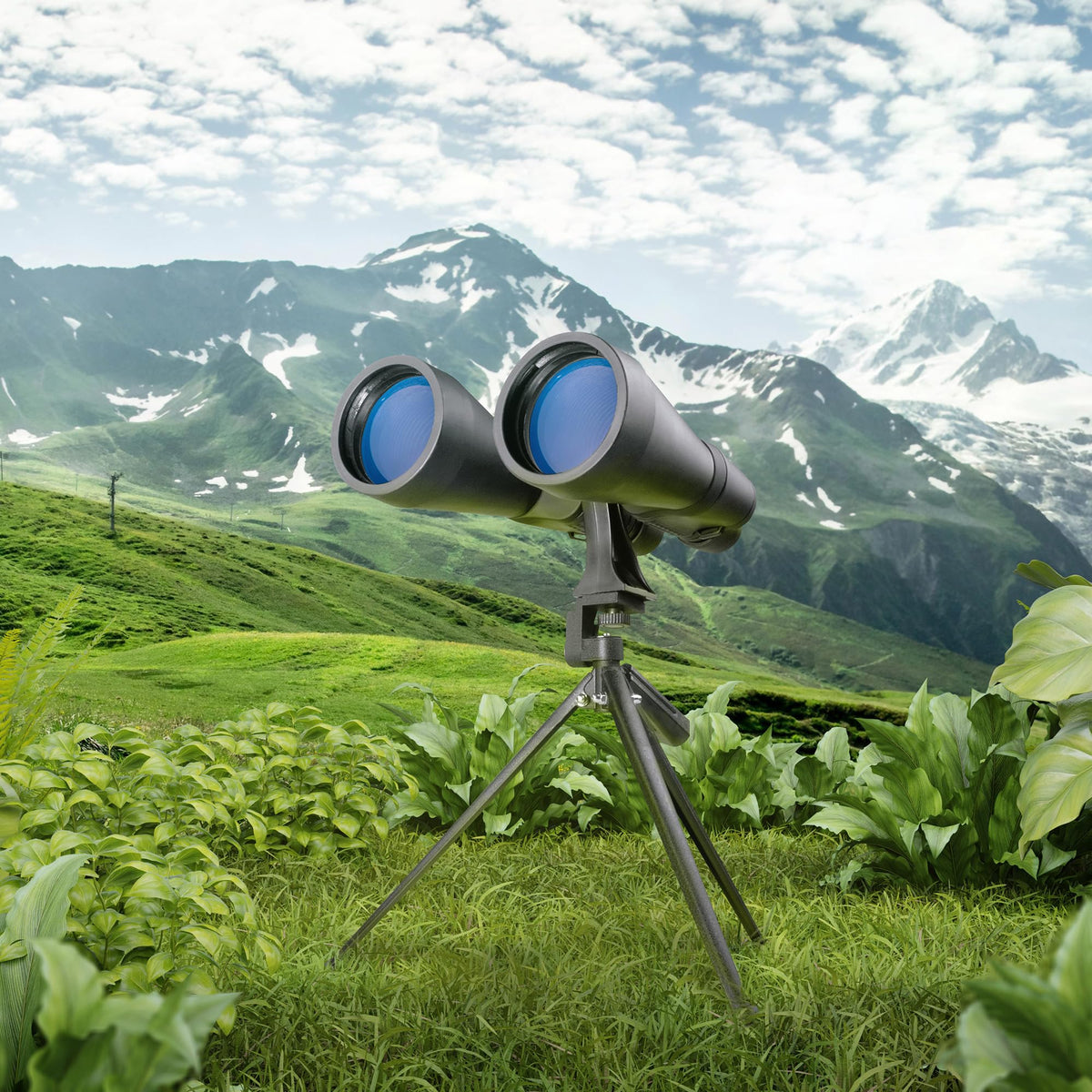 Barska X-Trail binoculars showing BAK-4 prism for crisp details.