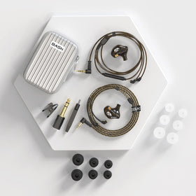 BASN Bsinger accessories layout with eartips, adapter, and cleaning tools for maintenance