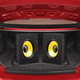 BBTO beside a 6x9 speaker showing scale and straightforward driver compatibility