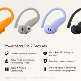 Beats PowerBeats Pro 2 secure earhooks keep buds in place during workouts