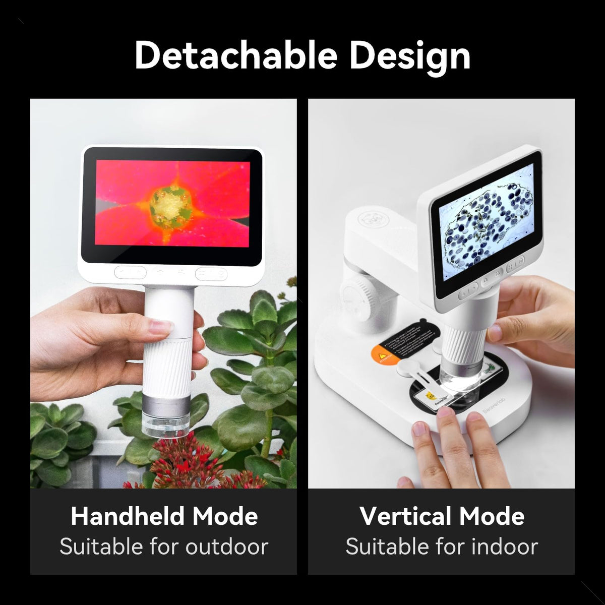 BEAVERLAB Darwin enables close-up views of coins, leaves, and insects with high clarity.