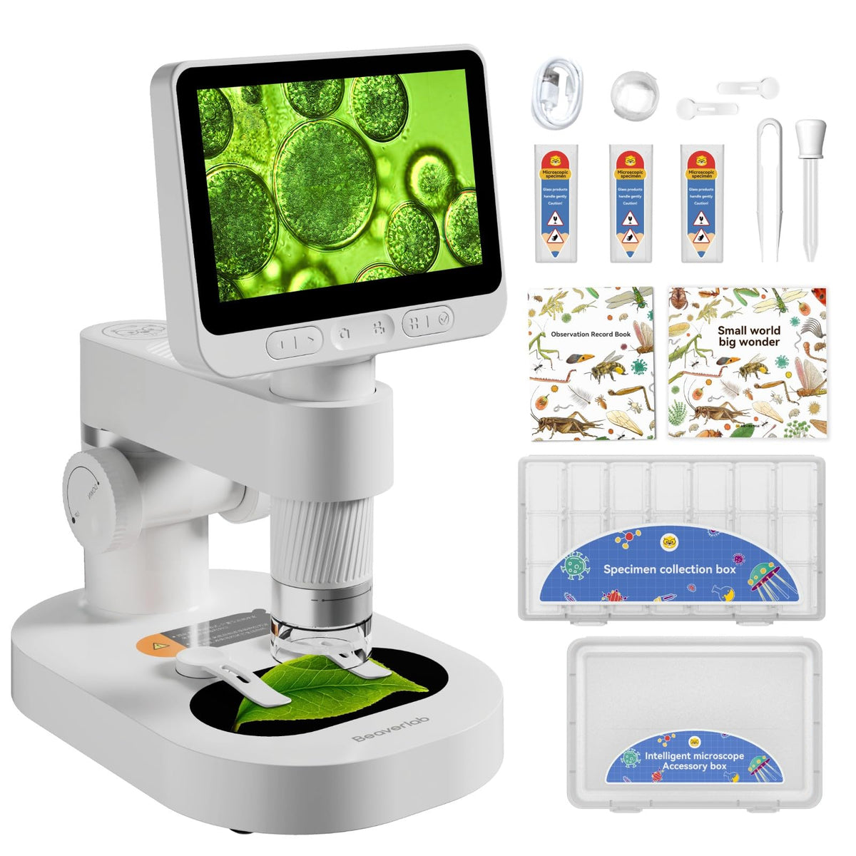 BEAVERLAB Darwin digital microscope with a 4-inch screen shows vivid, true-to-life colors.