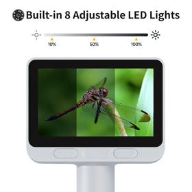 BEAVERLAB Darwin held in hand to show portable size and easy handling
