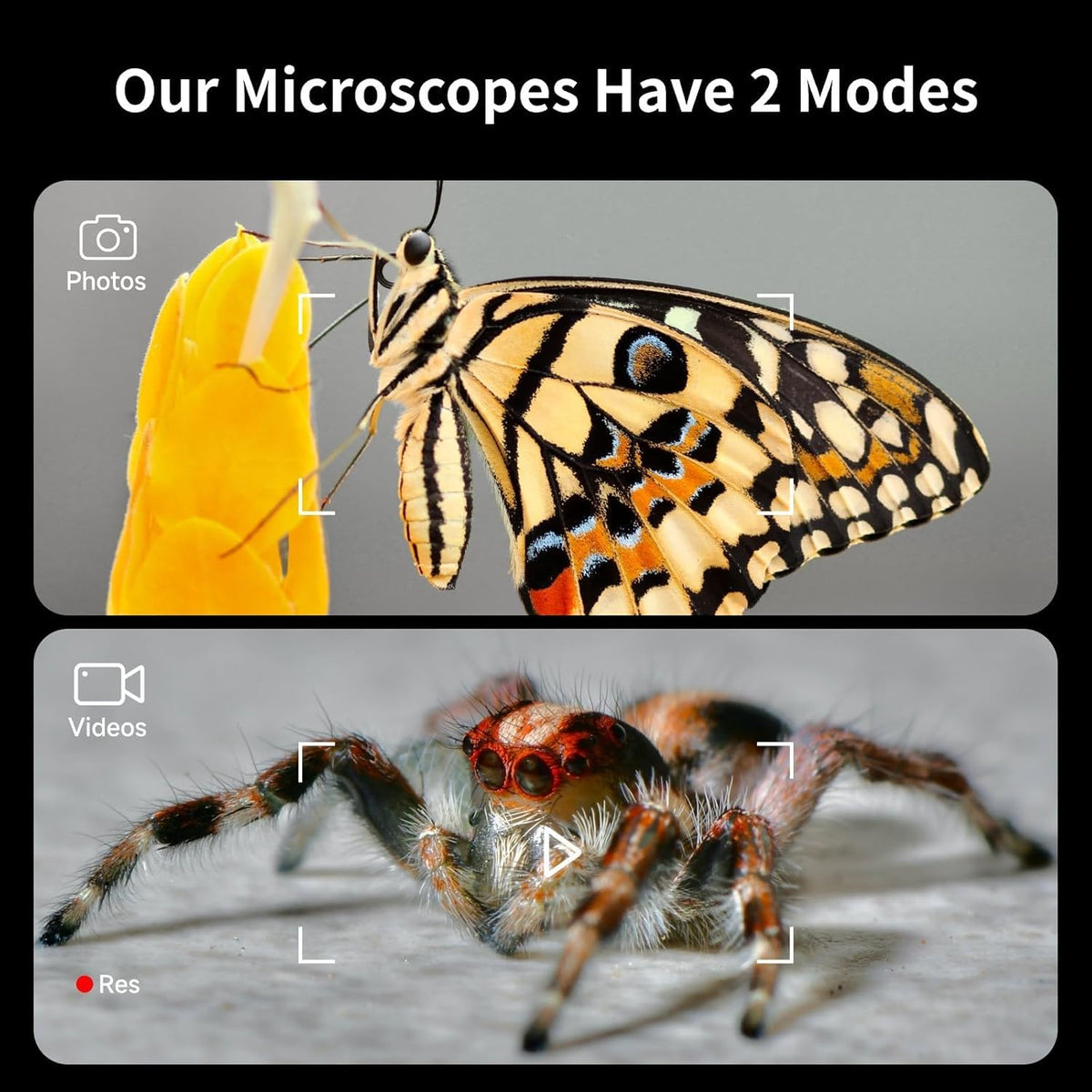 BEAVERLAB Darwin M2B 100x–1600x magnification reveals tiny features unseen by eye.