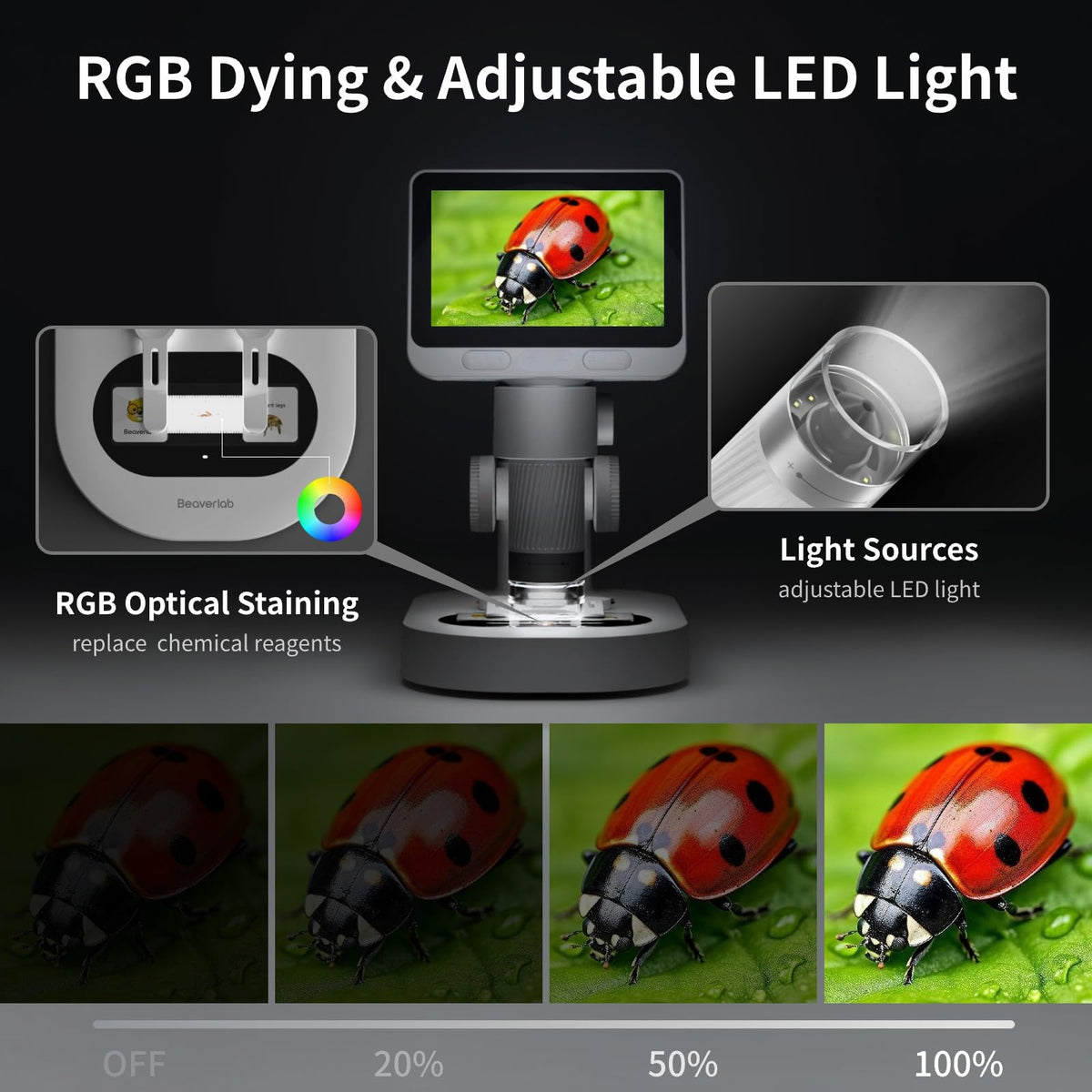 BEAVERLAB Darwin M2B RGB dyeing feature eliminates stains and simplifies safe handling.