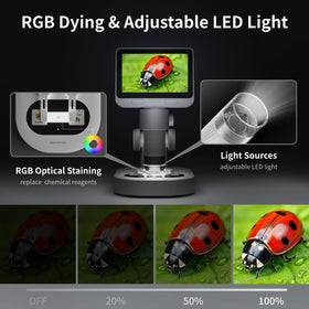 BEAVERLAB Darwin M2B RGB dyeing feature eliminates stains and simplifies safe handling.