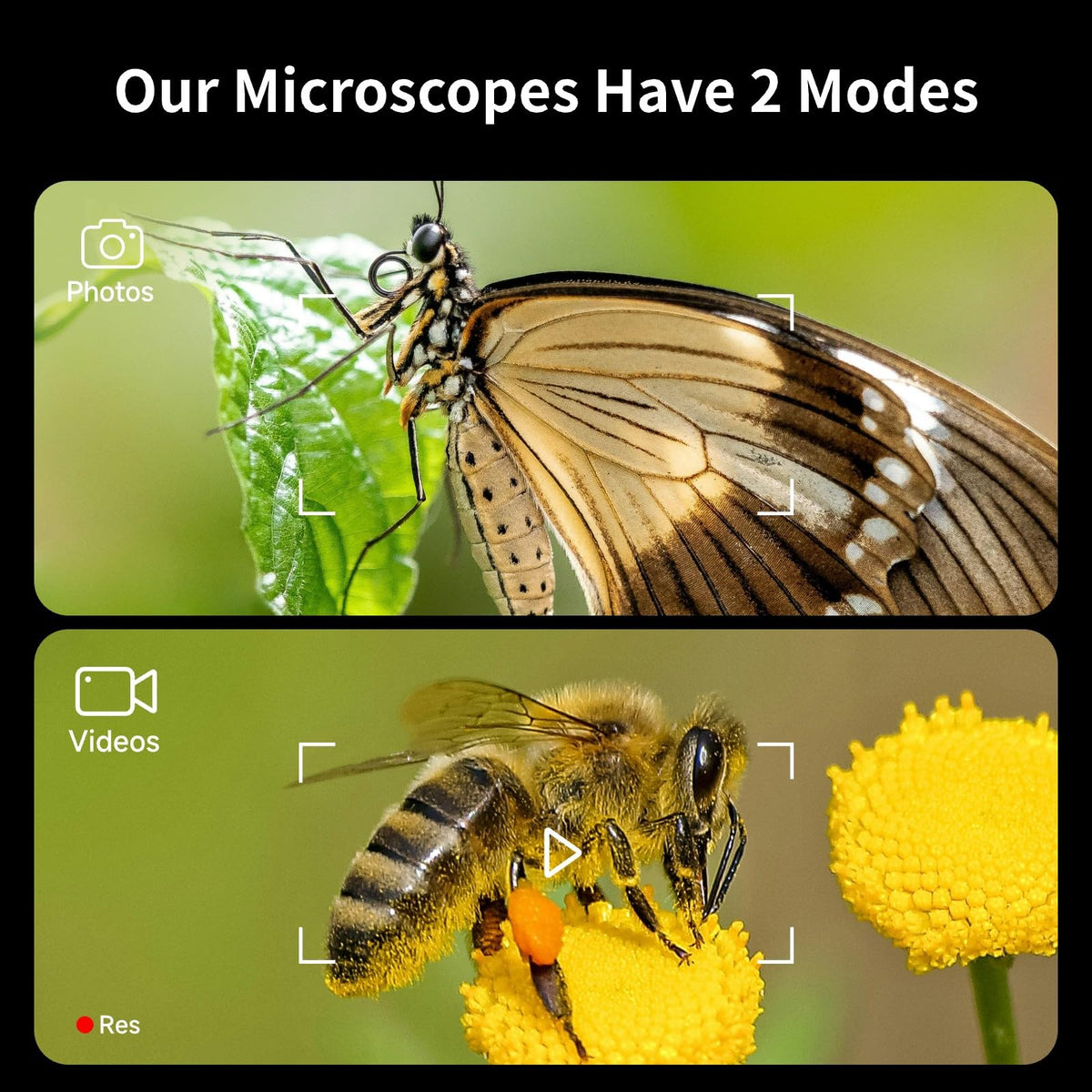 BEAVERLAB Darwin memory card included for quick photo and video storage.