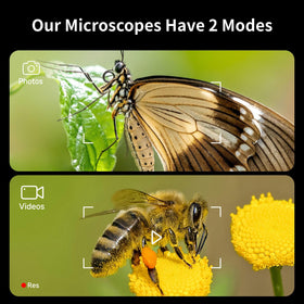 BEAVERLAB Darwin memory card included for quick photo and video storage.