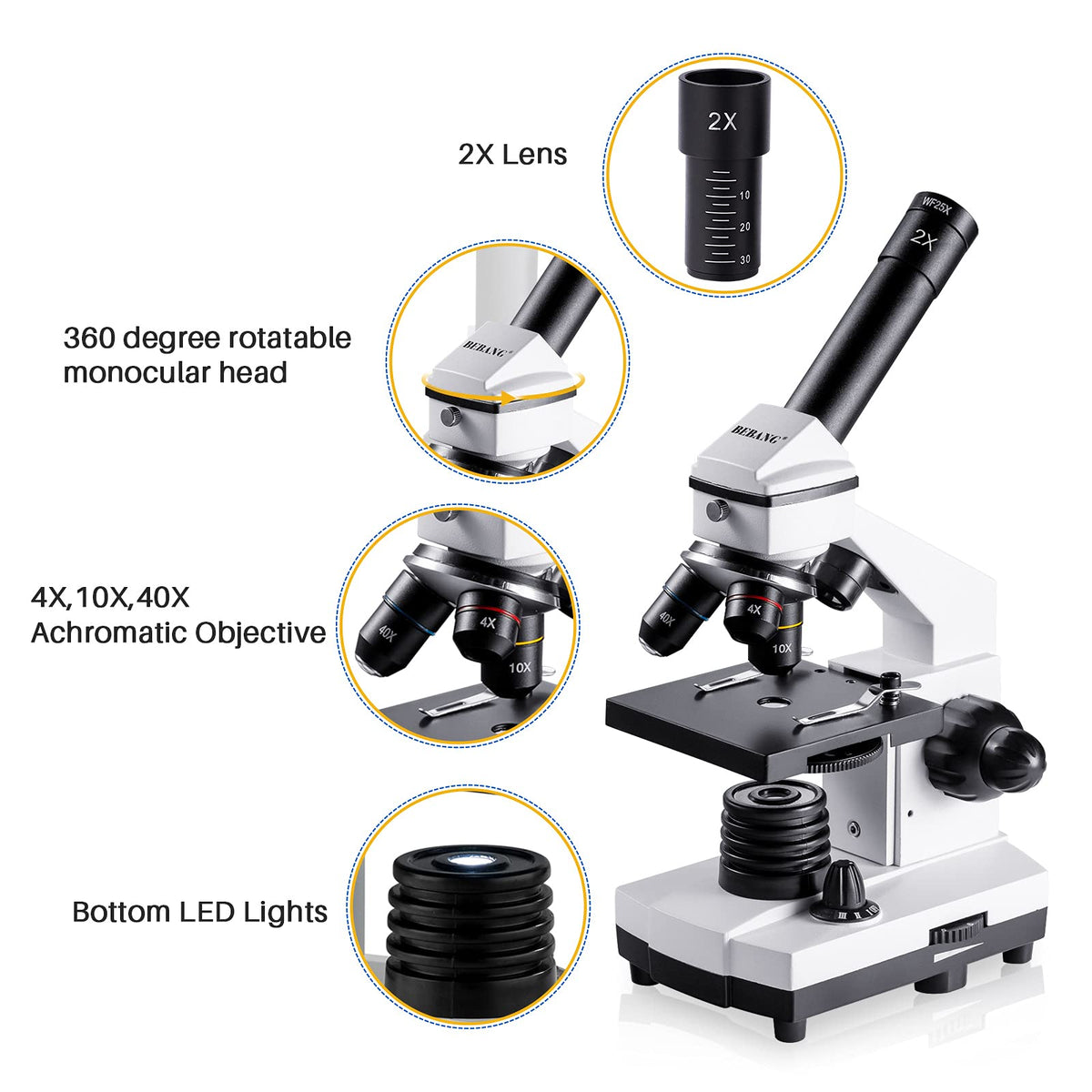 BEBANG microscope coarse-fine-focus enables precise adjustments for clear observations.