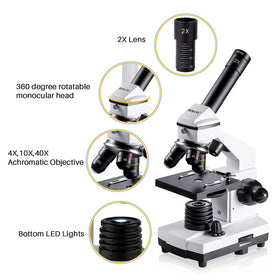 BEBANG microscope coarse-fine-focus enables precise adjustments for clear observations.