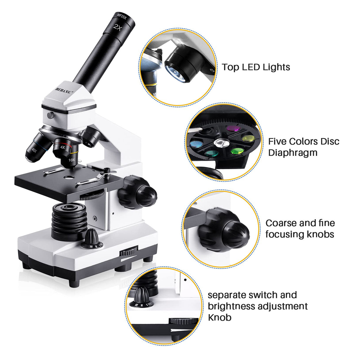 BEBANG microscope dual-illumination uses top and bottom lighting for color-accurate images.