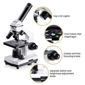 BEBANG microscope dual-illumination uses top and bottom lighting for color-accurate images.