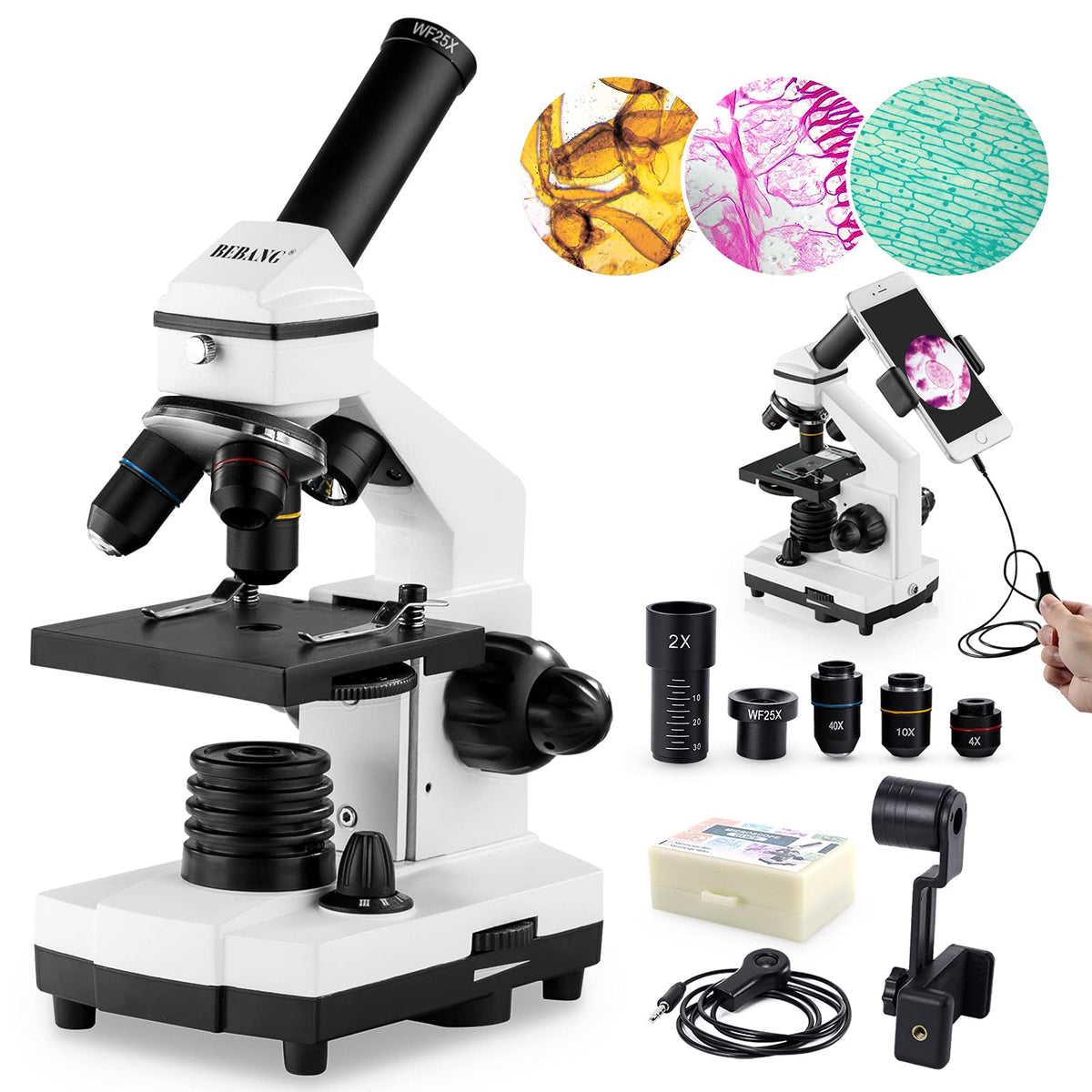 BEBANG microscope eyepiece view delivers clear magnified detail for classroom experiments.