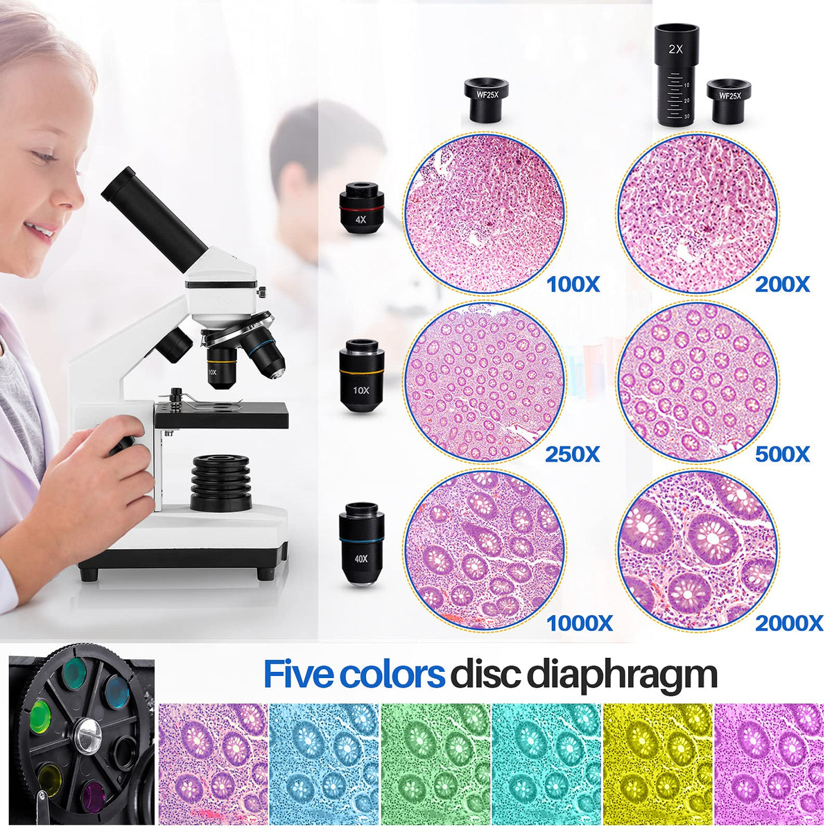 BEBANG microscope stage-detail highlights specimen edges with sharp focus for study.