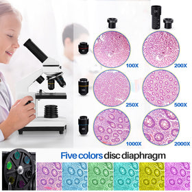 BEBANG microscope stage-detail highlights specimen edges with sharp focus for study.