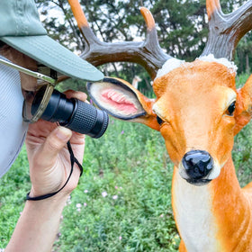 Bejamy inspecting museum label to aid close-up observation