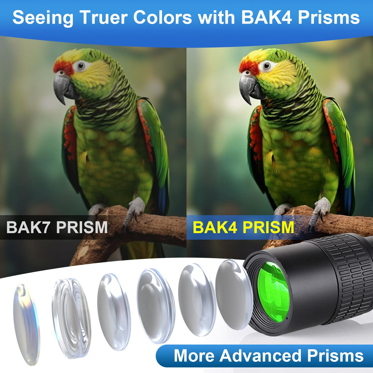 Belmeri eyepiece adjustment view illustrating comfortable eye relief and focus control