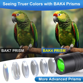 Belmeri eyepiece adjustment view illustrating comfortable eye relief and focus control